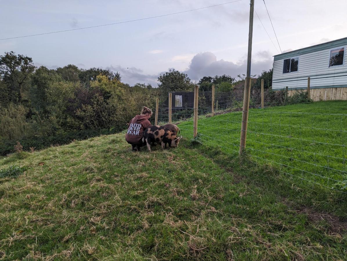The Piggery Villa Witheridge Kültér fotó
